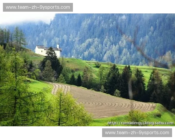 法兰西的荣耀与阿尔卑斯的回响：一场跨越世纪的足球史诗